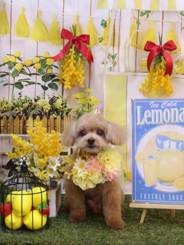 20240402マロンくん